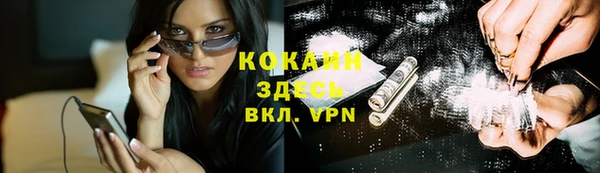 мдпв Костерёво