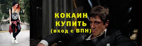 гашик Коряжма