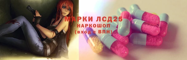 гашик Коряжма