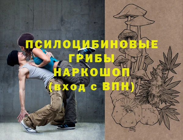 мдпв Костерёво
