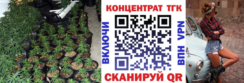 Купить закладки  Елец  Дистиллят ТГК Wax 